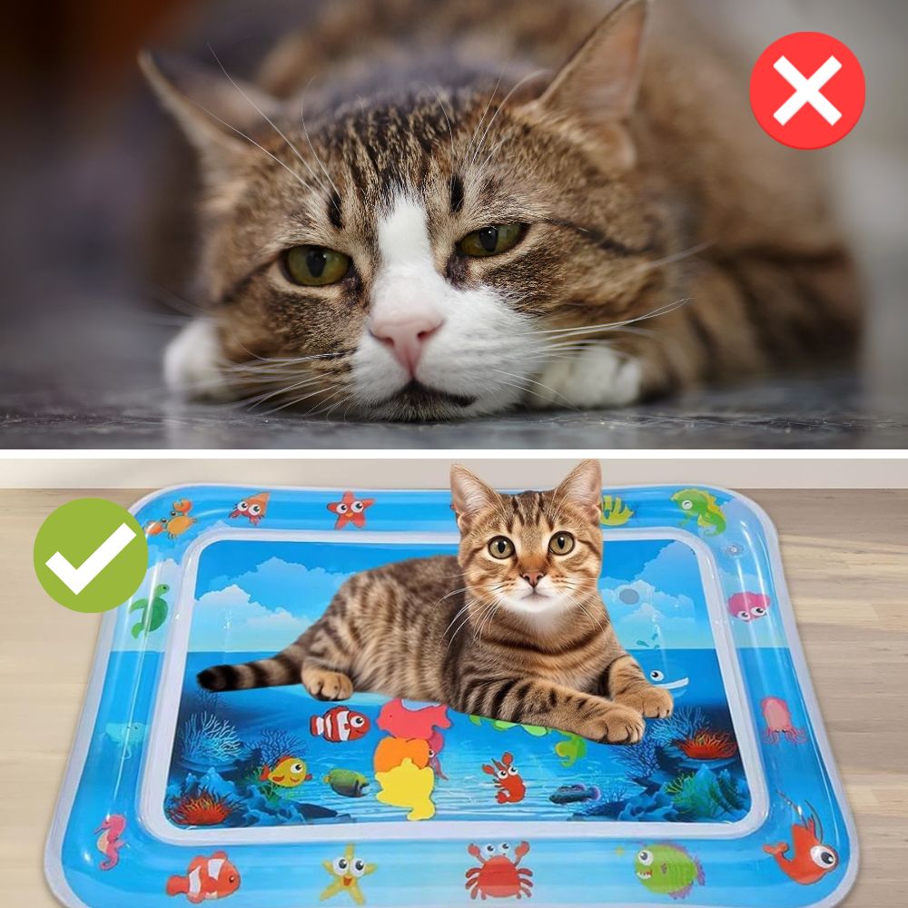 CoolNest™ | Tapis d'été à eau pour animaux