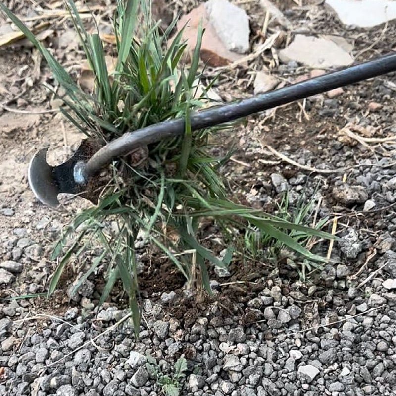 HandHoe™ | Houe manuelle portative pour mauvaises herbes
