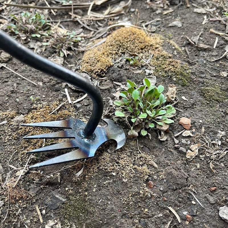 HandHoe™ | Houe manuelle portative pour mauvaises herbes