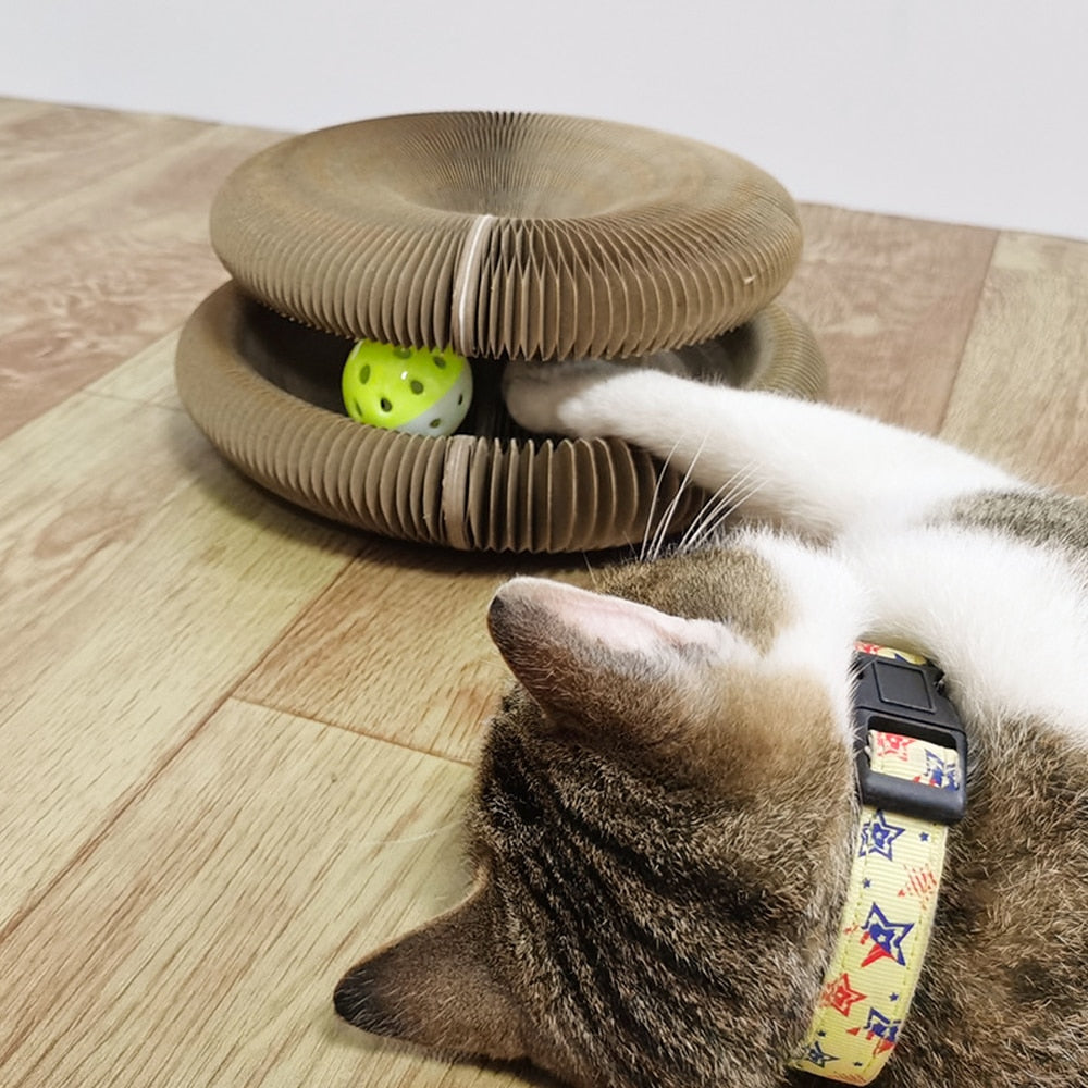 FunCat™ - Un jouet interactif pour chats